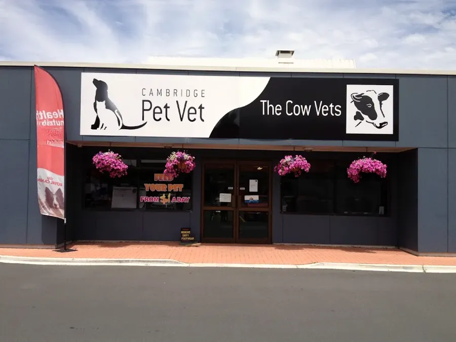 Cambridge Pet Vet & The Farm Vets