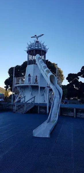 Boot Camps Wellington
