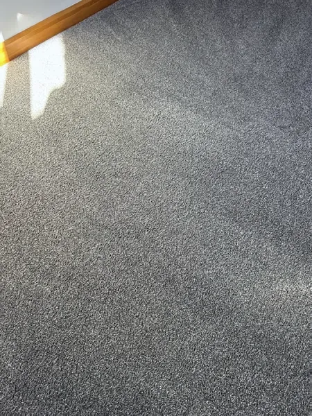 Carpet Tech