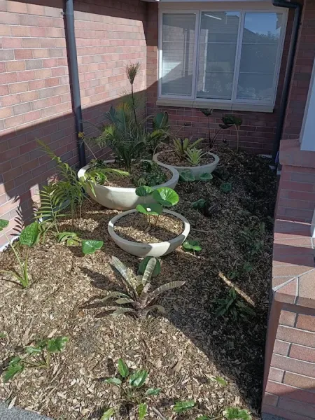 Lawn Mowing Tauranga LLC
