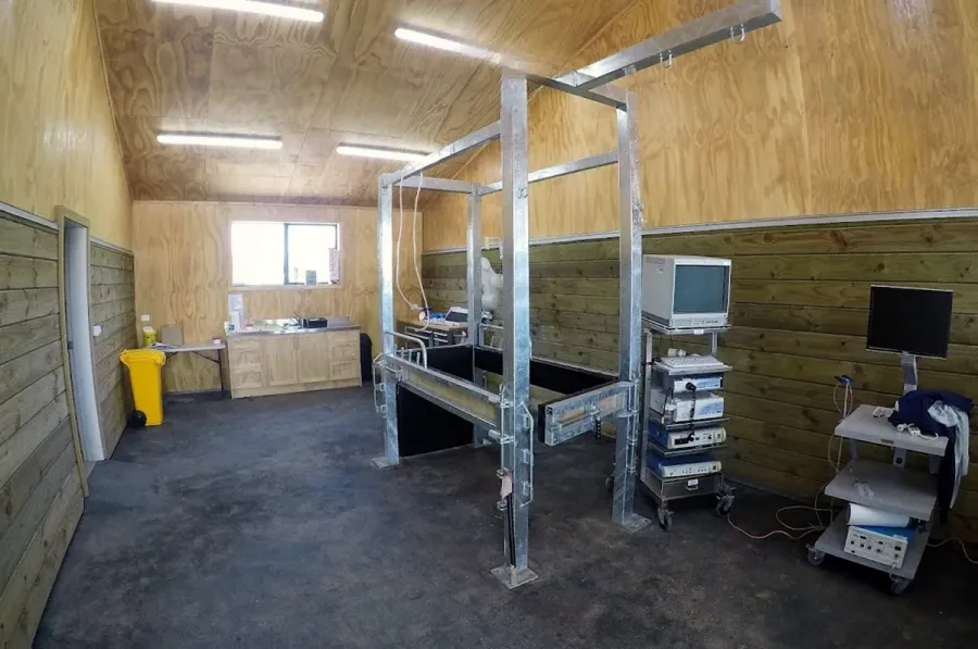Waikato Equine Veterinary Centre