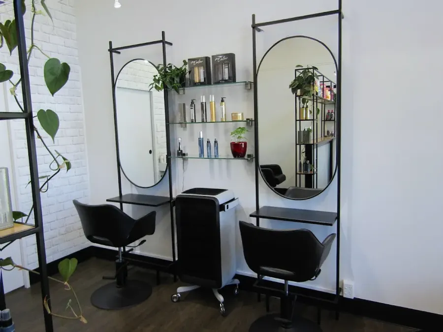The Hair Shop
