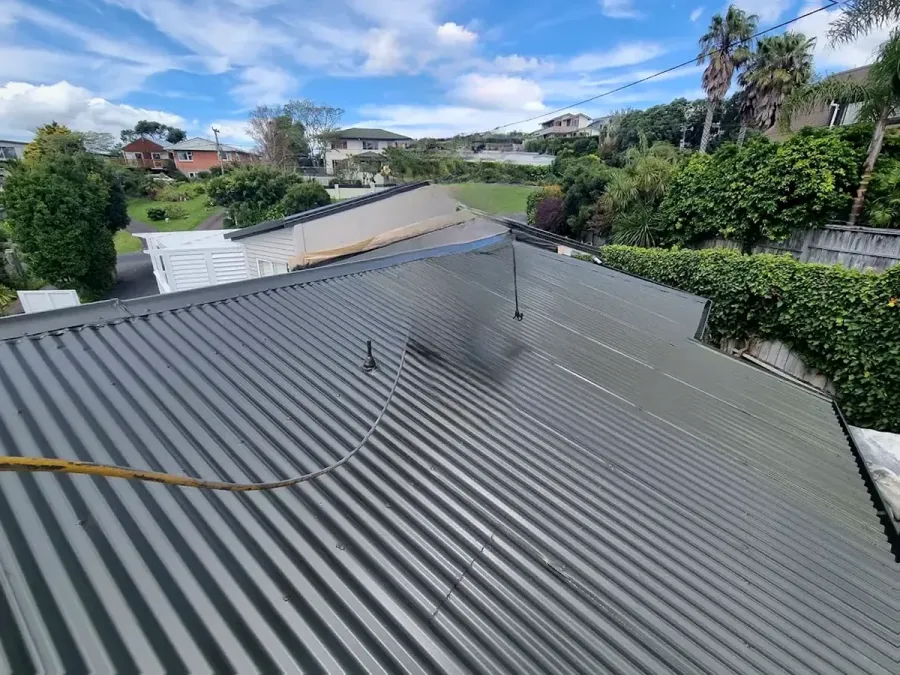 Trade Painters Ltd