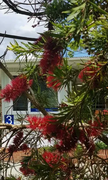 Sexual Health Clinic