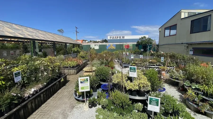 Nichol's Garden Centre Dunedin