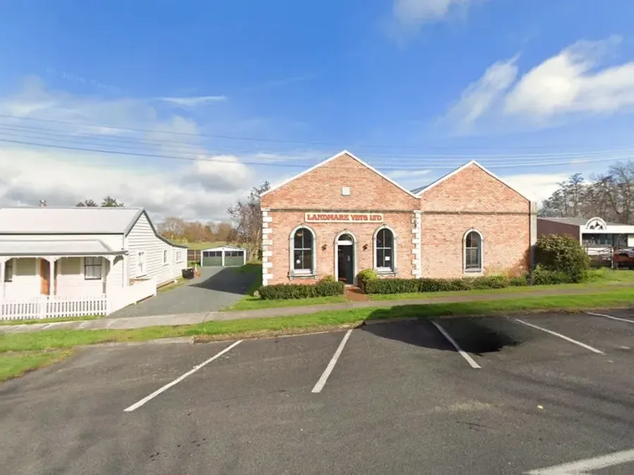 Kaimai Vets Te Aroha