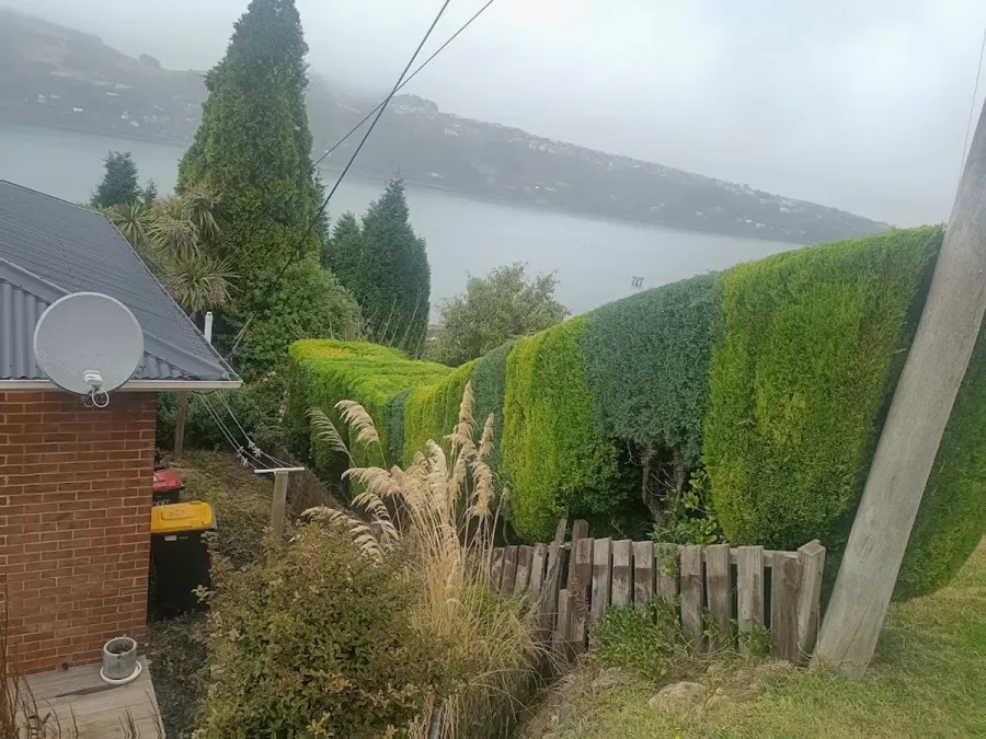 Tidy Cuts Hedgecutting and Gardening