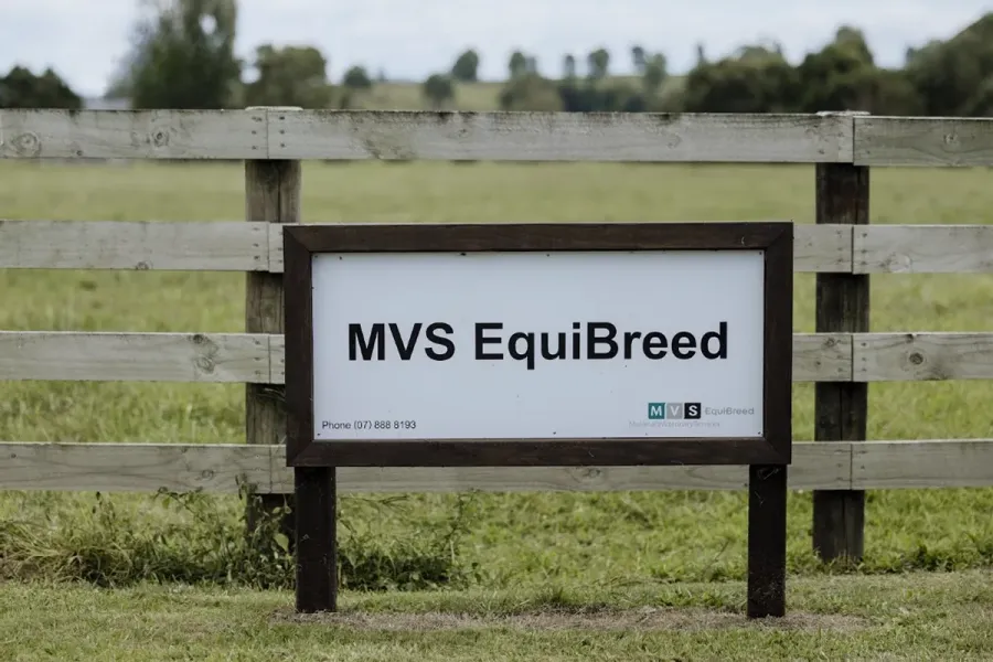 MVS EquiBreed