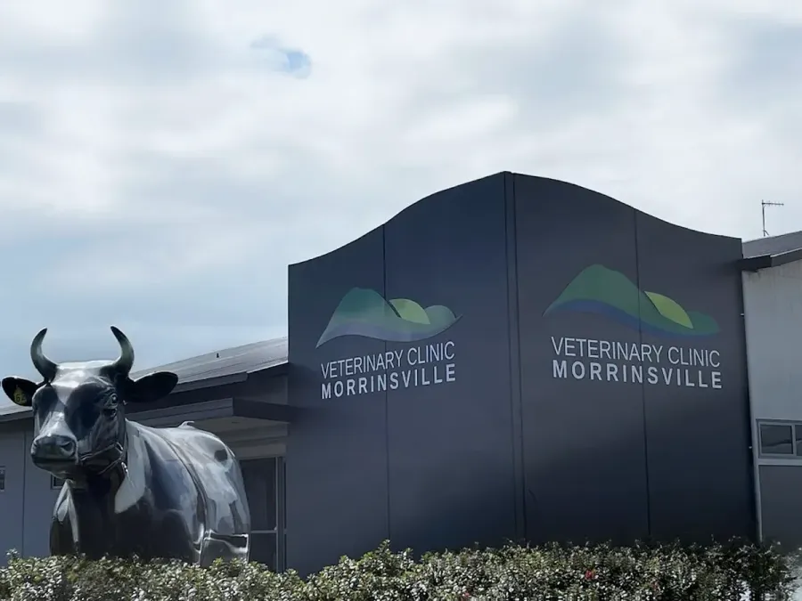 Veterinary Clinic Morrinsville