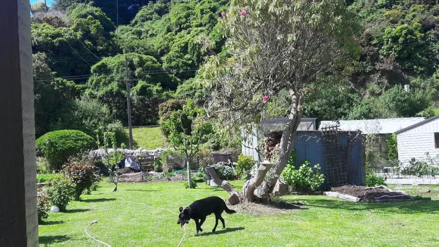 Living Garden Maintenance