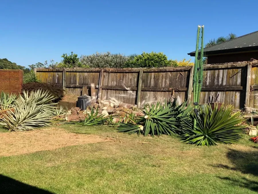 Eden Trees Professional Arborist