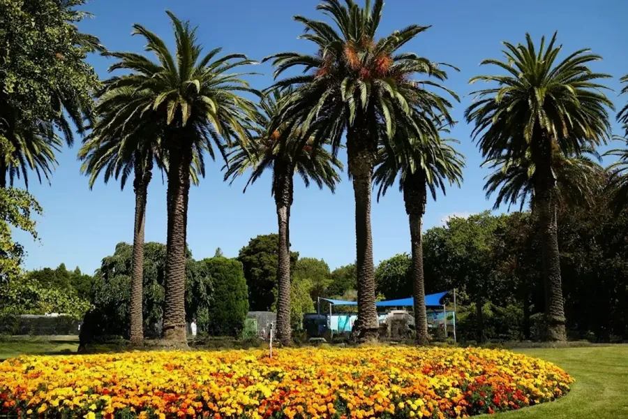The Victoria Esplanade