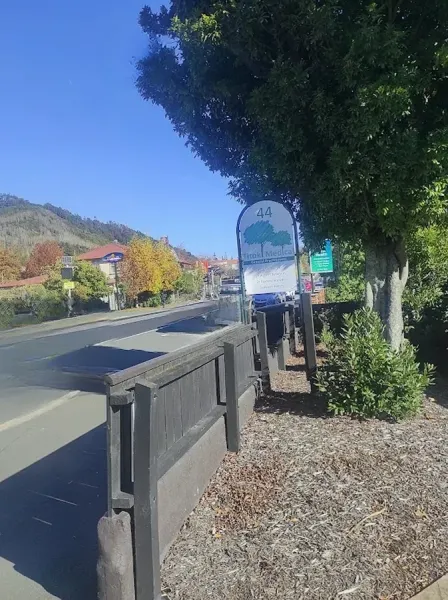 Nelson City Medical Centre - Titoki