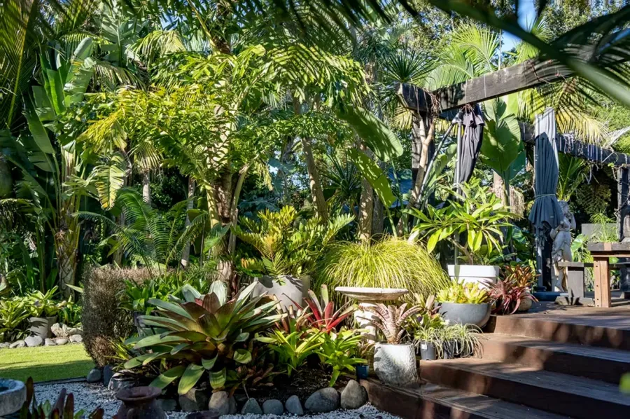 The Tropical Paradise Nursery and Design