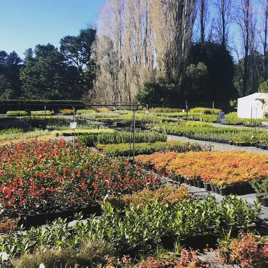 Kereru Gardens