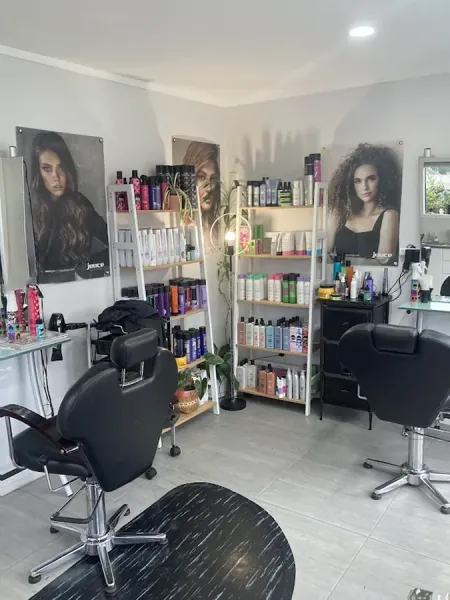 Art Of Hair