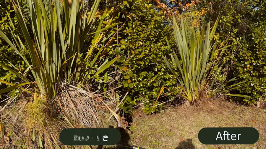 Taupo Lawn Mowing