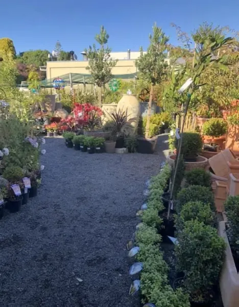 Acacia Bay Garden Centre