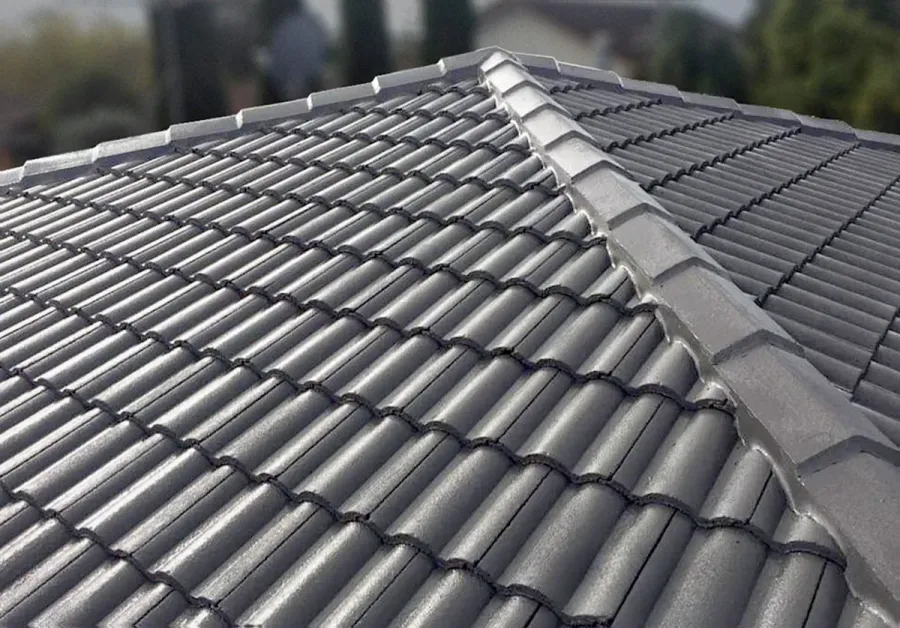 Reliant Roof Services Auckland—Roof Painting, Cleaning and Repairs Specialists
