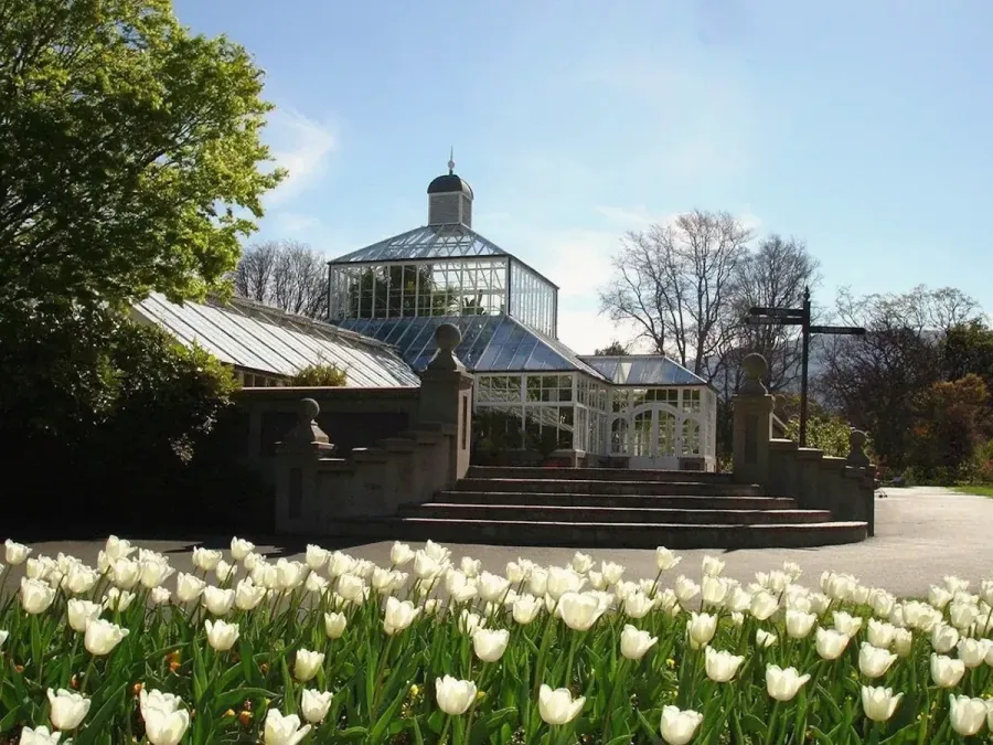 Dunedin Botanic Garden
