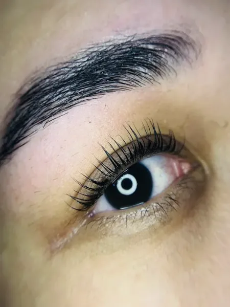 Brow masters