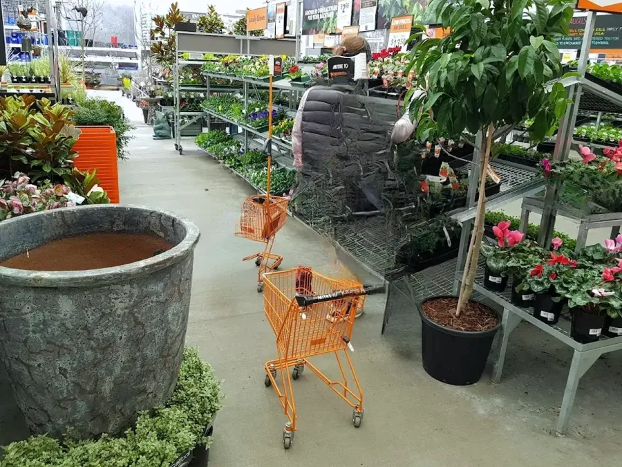 Mitre 10 MEGA Taupo