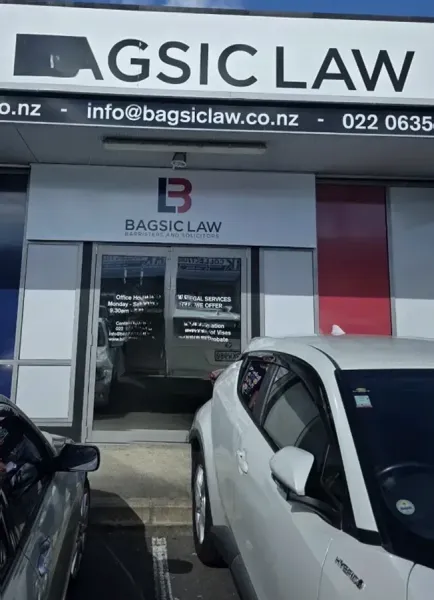 Bagsic Law