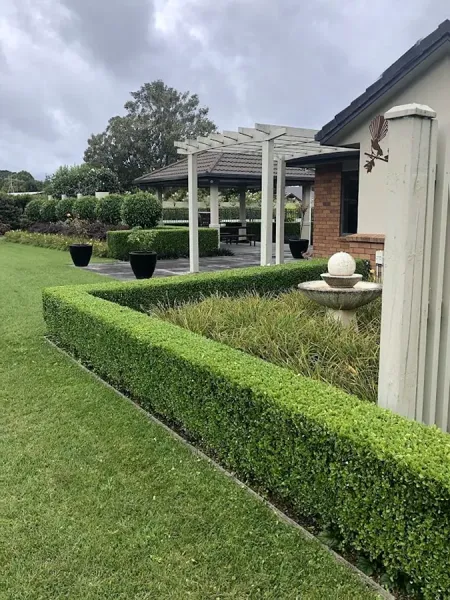 BW Gardens | Lawns