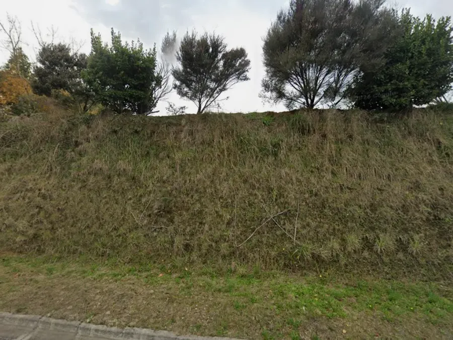 Te Awamutu Boarding Kennels & Cattery