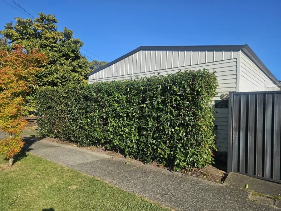 Peacock Lawn and Garden Care