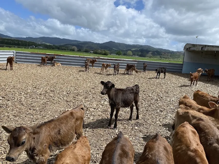 Farmers Vet Clinc