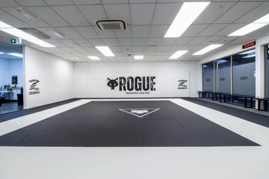 Rogue Training Centre