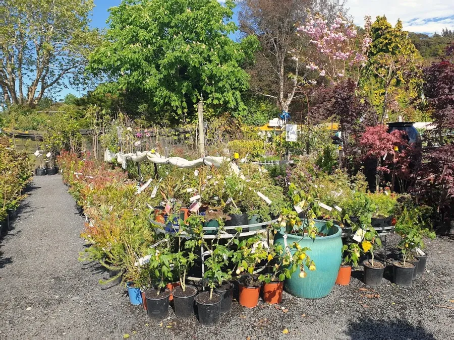 Blueskin Nurseries & Cafe