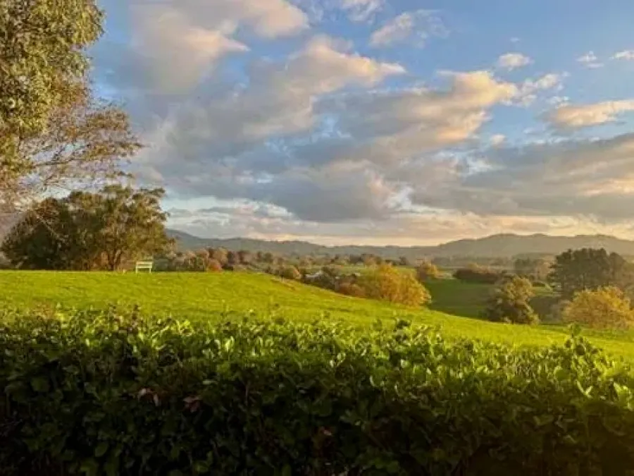 Maunga Guesthouse - Cambridge