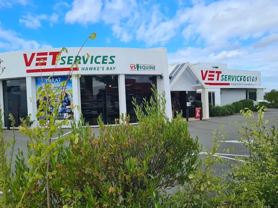 Vet Services Hawkes Bay - Hastings