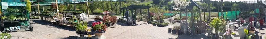 Mackie's Garden Centre and Nursery