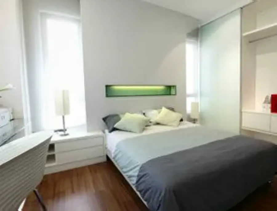 The House Painting Auckland Company