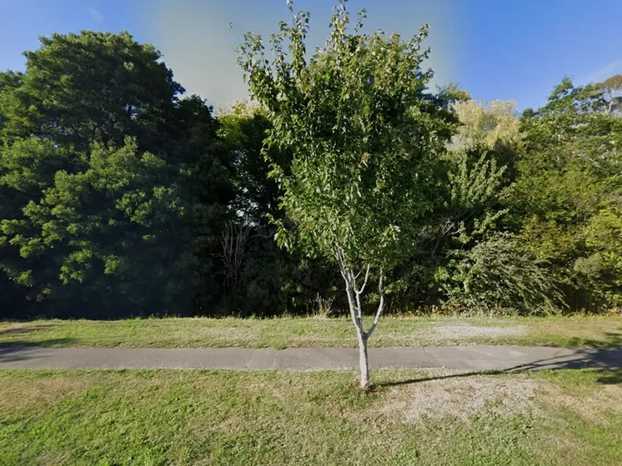 Waimakariri Dental Centre