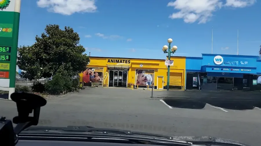 Animates Napier