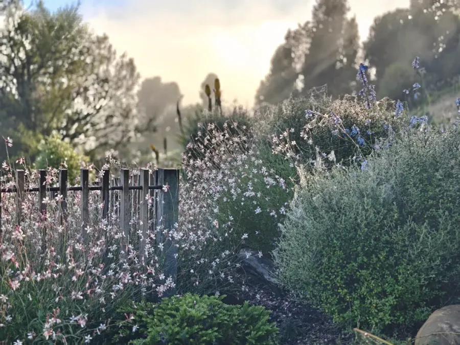 Keucke Landscape Design
