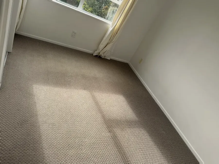 Professional Cleaning