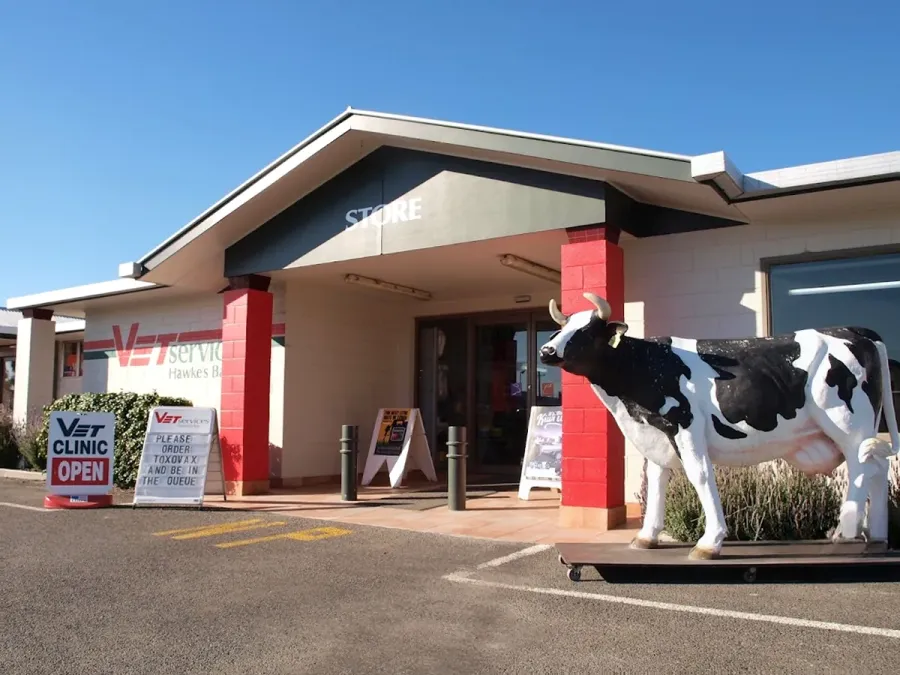 Vet Services Hawkes Bay - Waipukurau