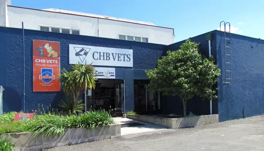 CHB Vets