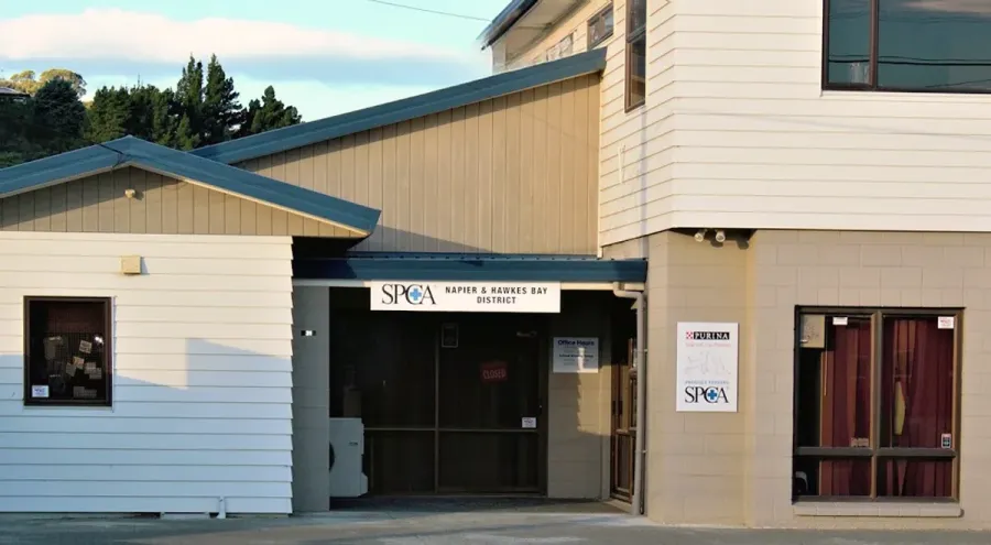 SPCA Napier Centre