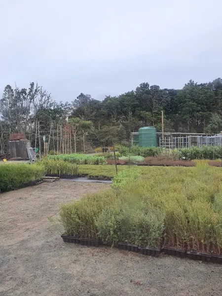 Rural Design