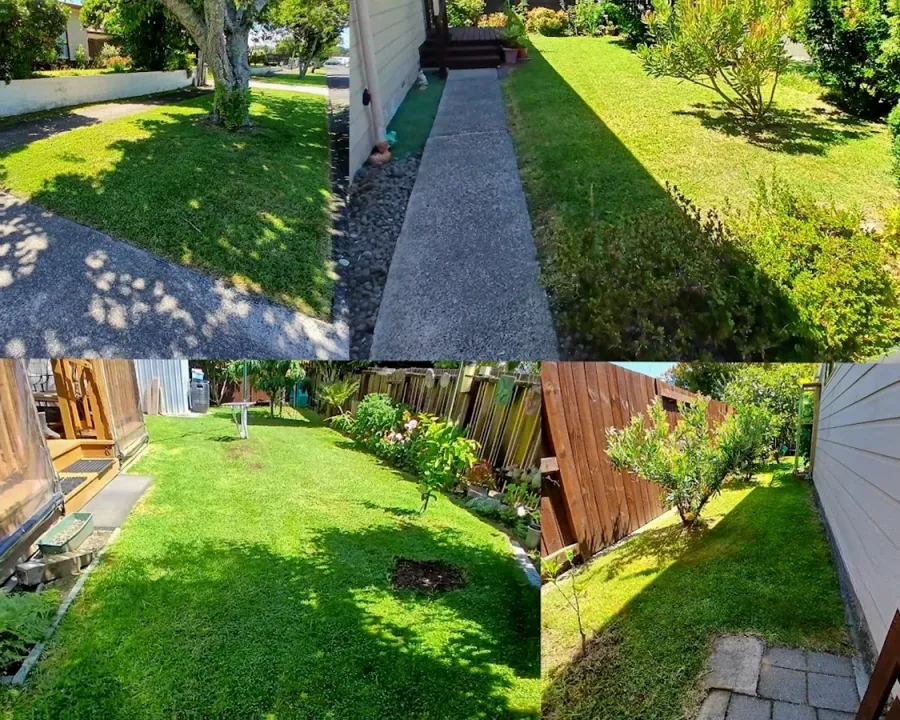 Total Turf