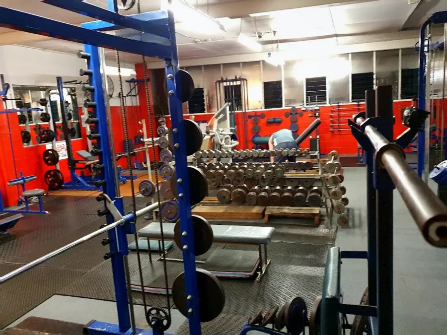 City Gym Tauranga