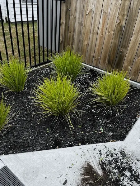 Kk lawn maintenance