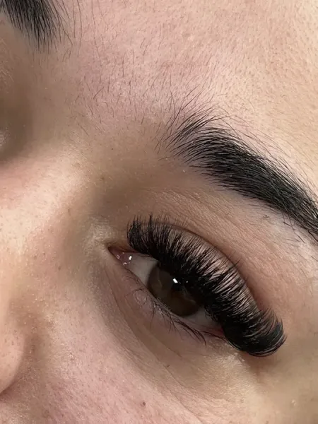 Lashed by Shanz
