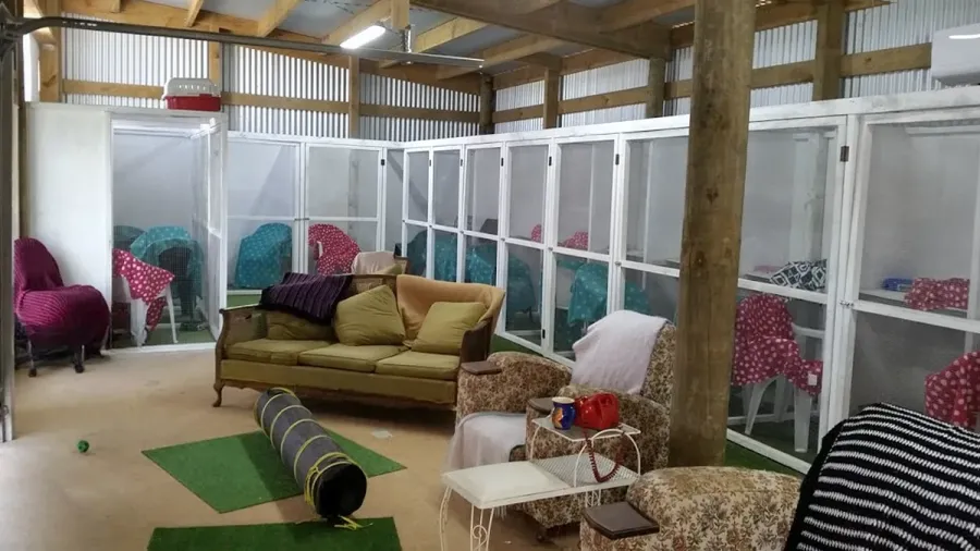 Pawsome Cattery